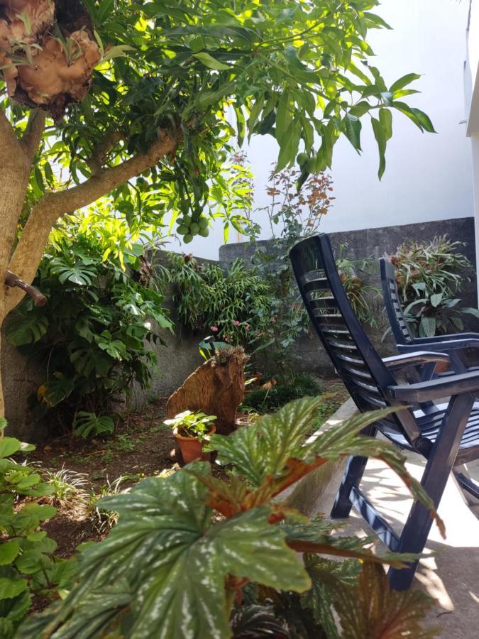 Casa Da Avo Rosa Διαμέρισμα São Vicente Εξωτερικό φωτογραφία