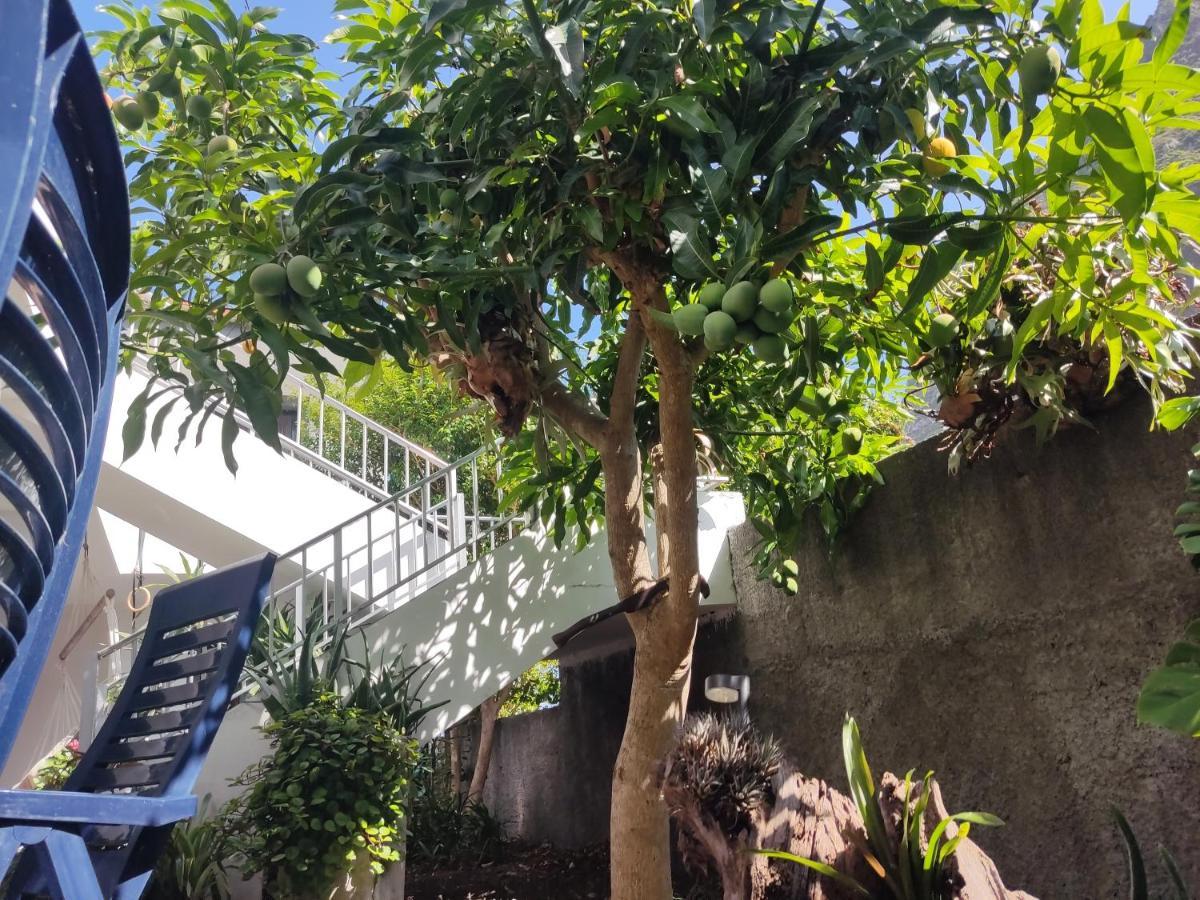 Casa Da Avo Rosa Διαμέρισμα São Vicente Εξωτερικό φωτογραφία