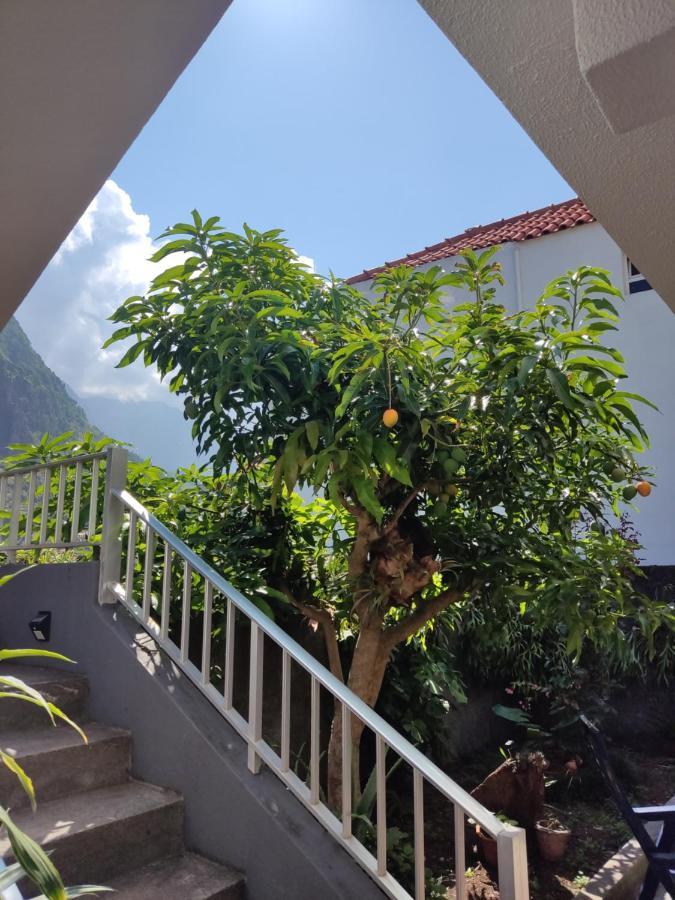 Casa Da Avo Rosa Διαμέρισμα São Vicente Εξωτερικό φωτογραφία