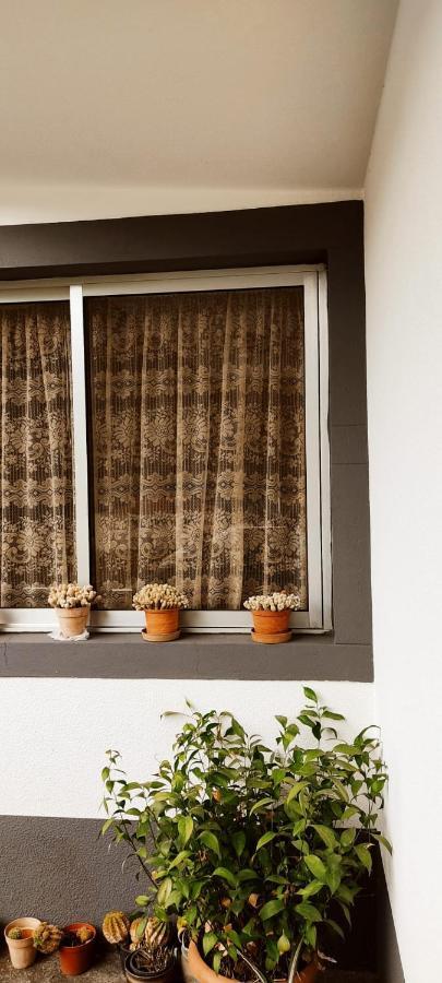 Casa Da Avo Rosa Διαμέρισμα São Vicente Εξωτερικό φωτογραφία