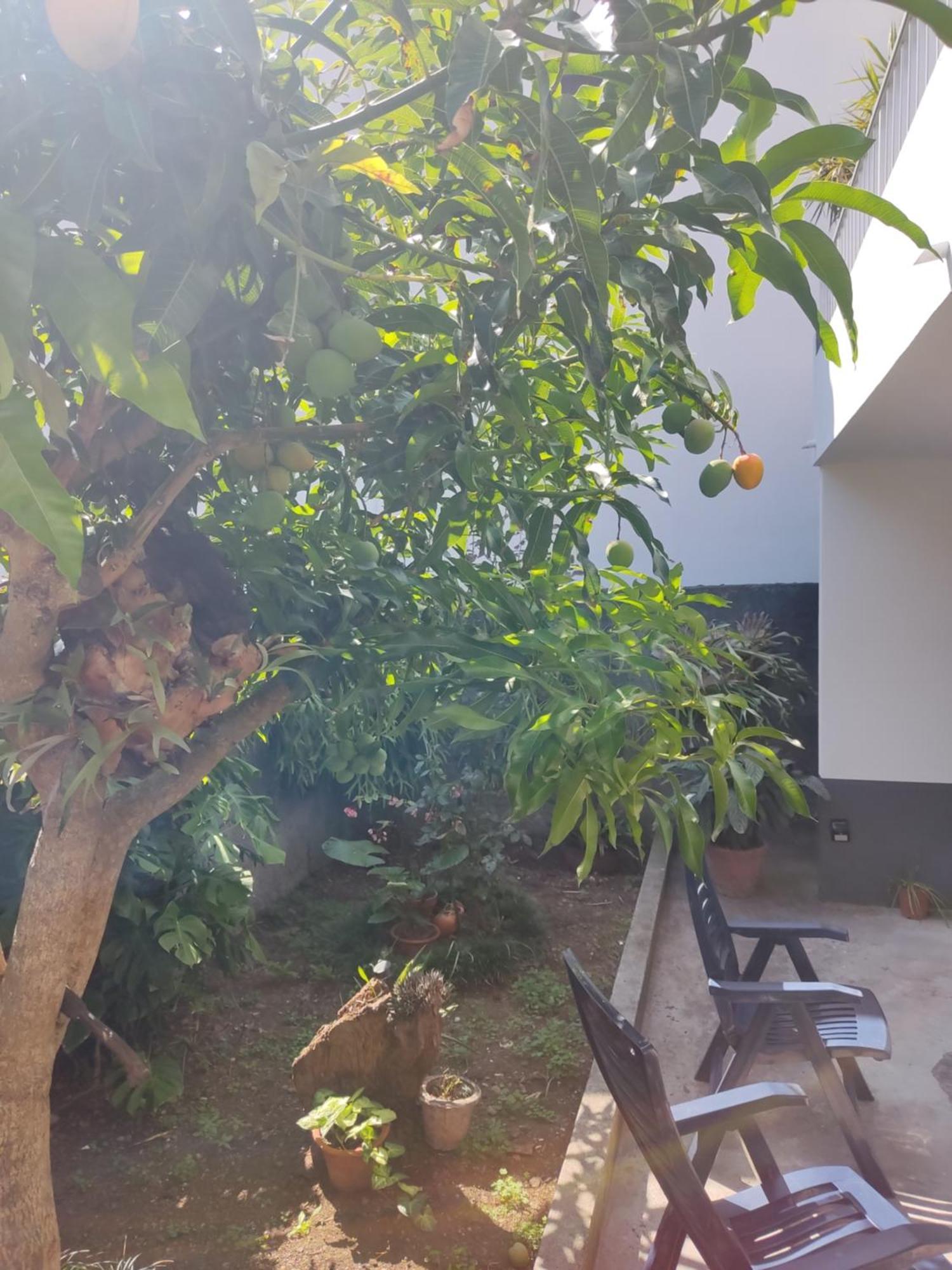 Casa Da Avo Rosa Διαμέρισμα São Vicente Εξωτερικό φωτογραφία